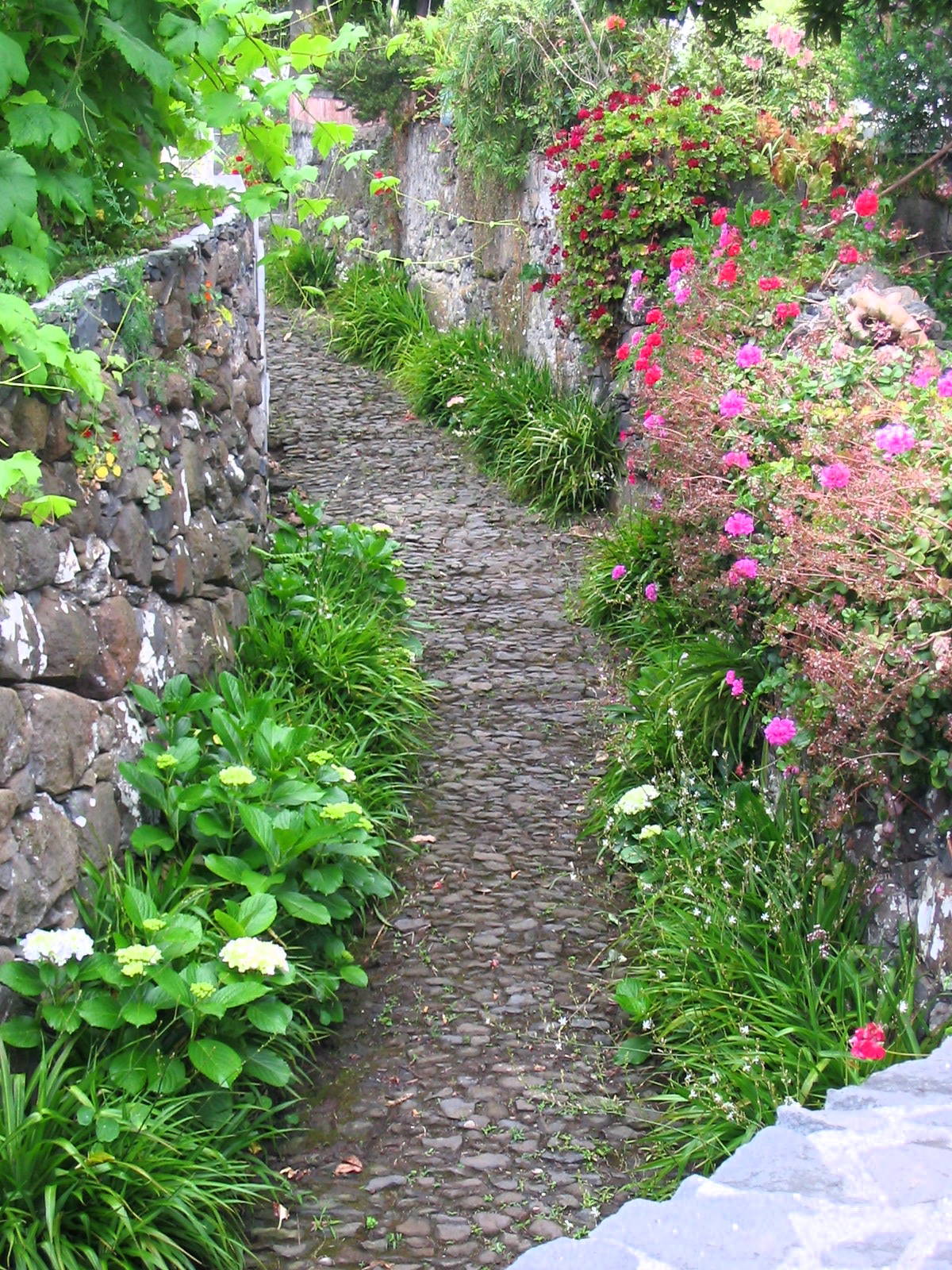 Path from road down to garden