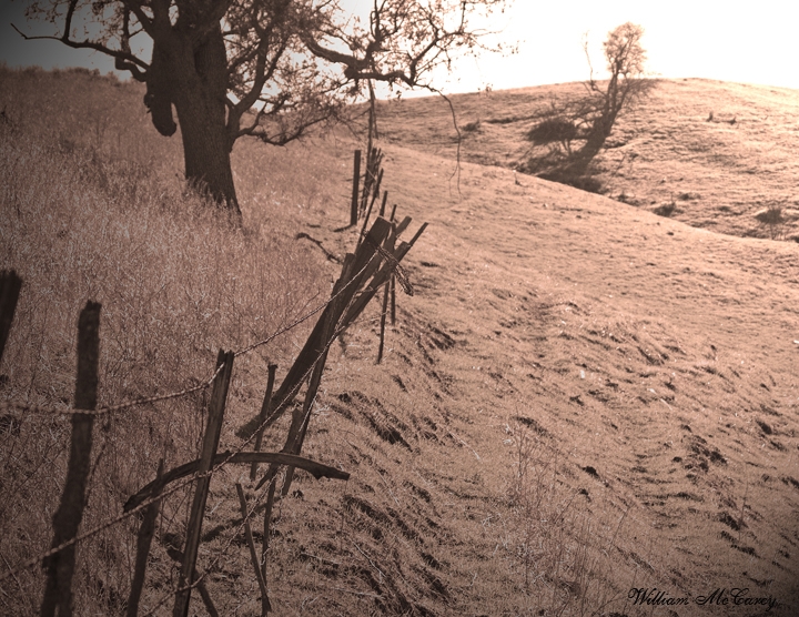 Walkin' the Fence Line