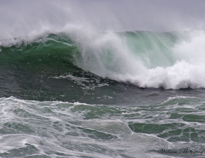 Oceanscapes