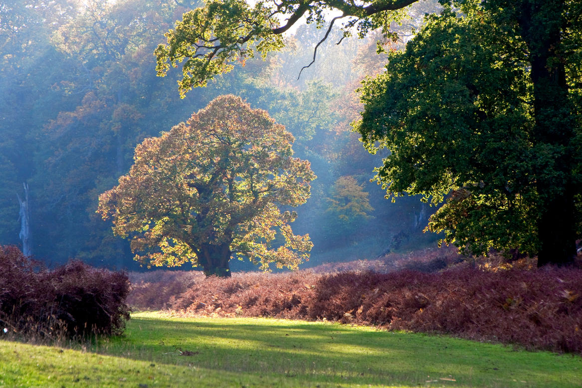 29 October - autumn sunshine