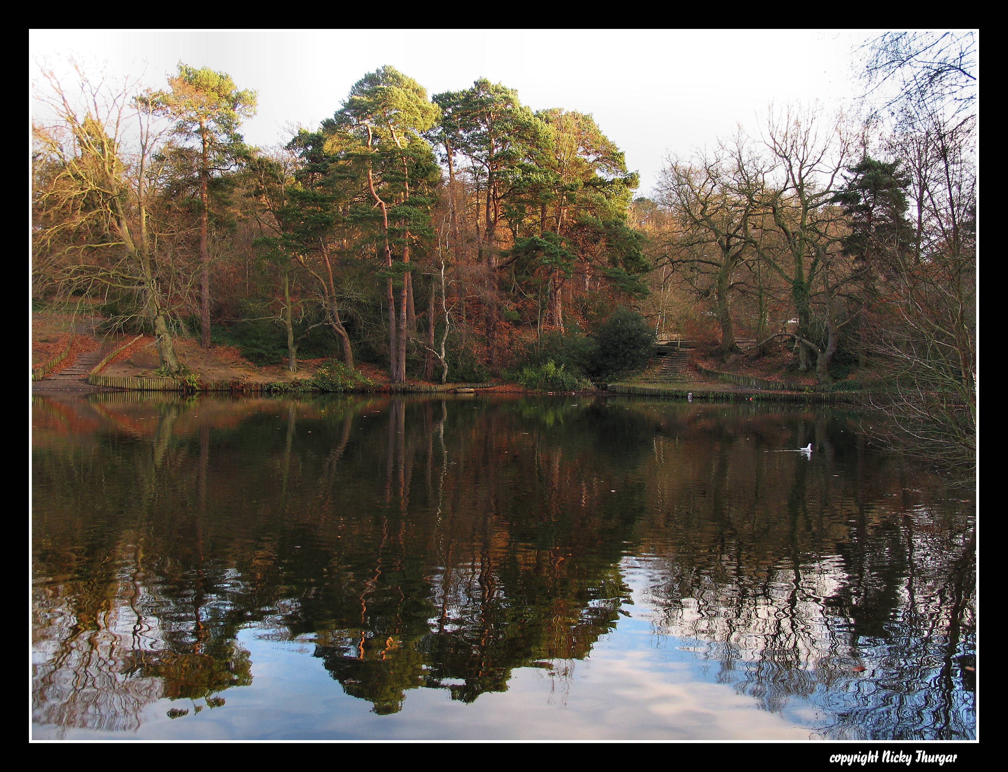 Keston Ponds