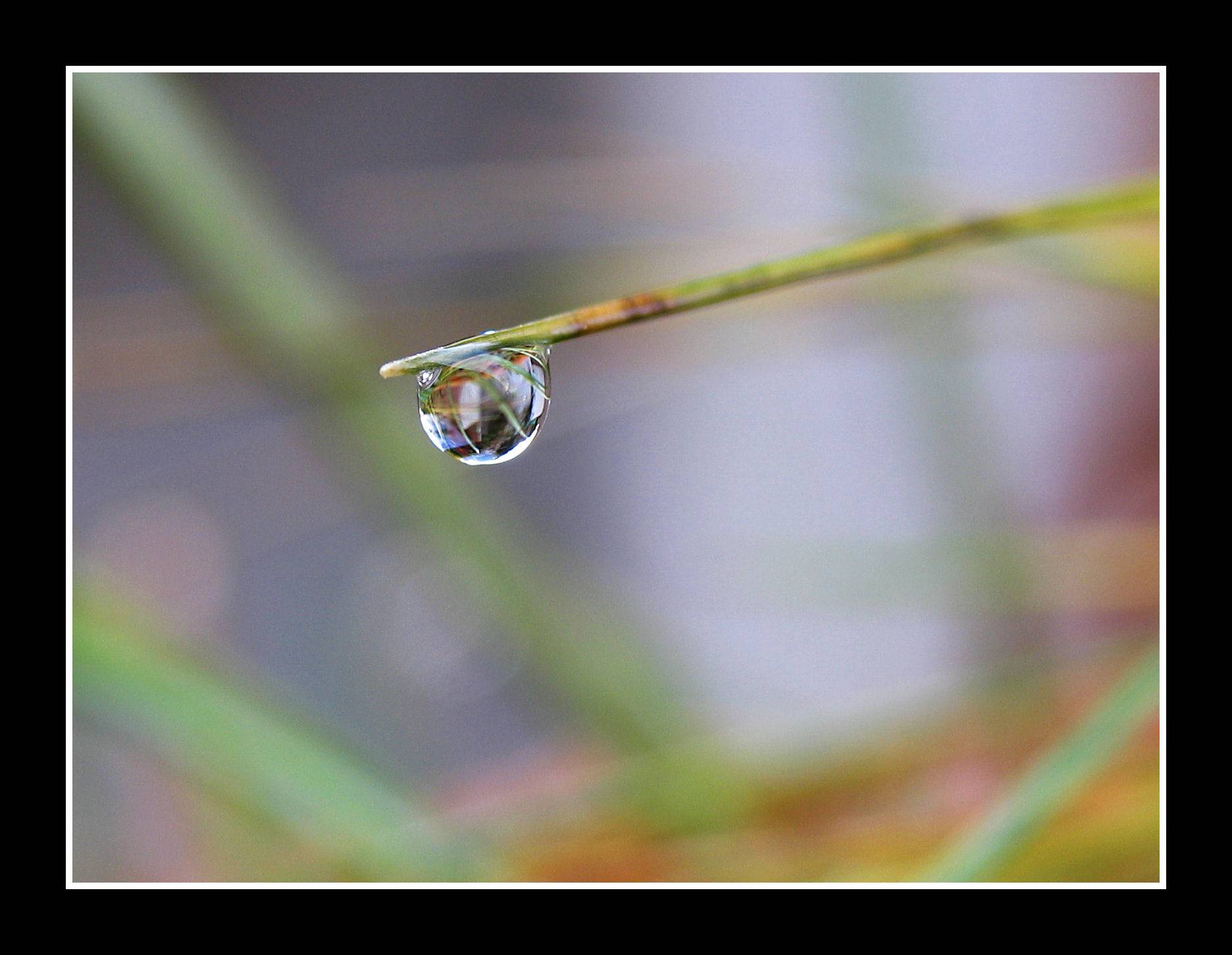 7 January - One drop