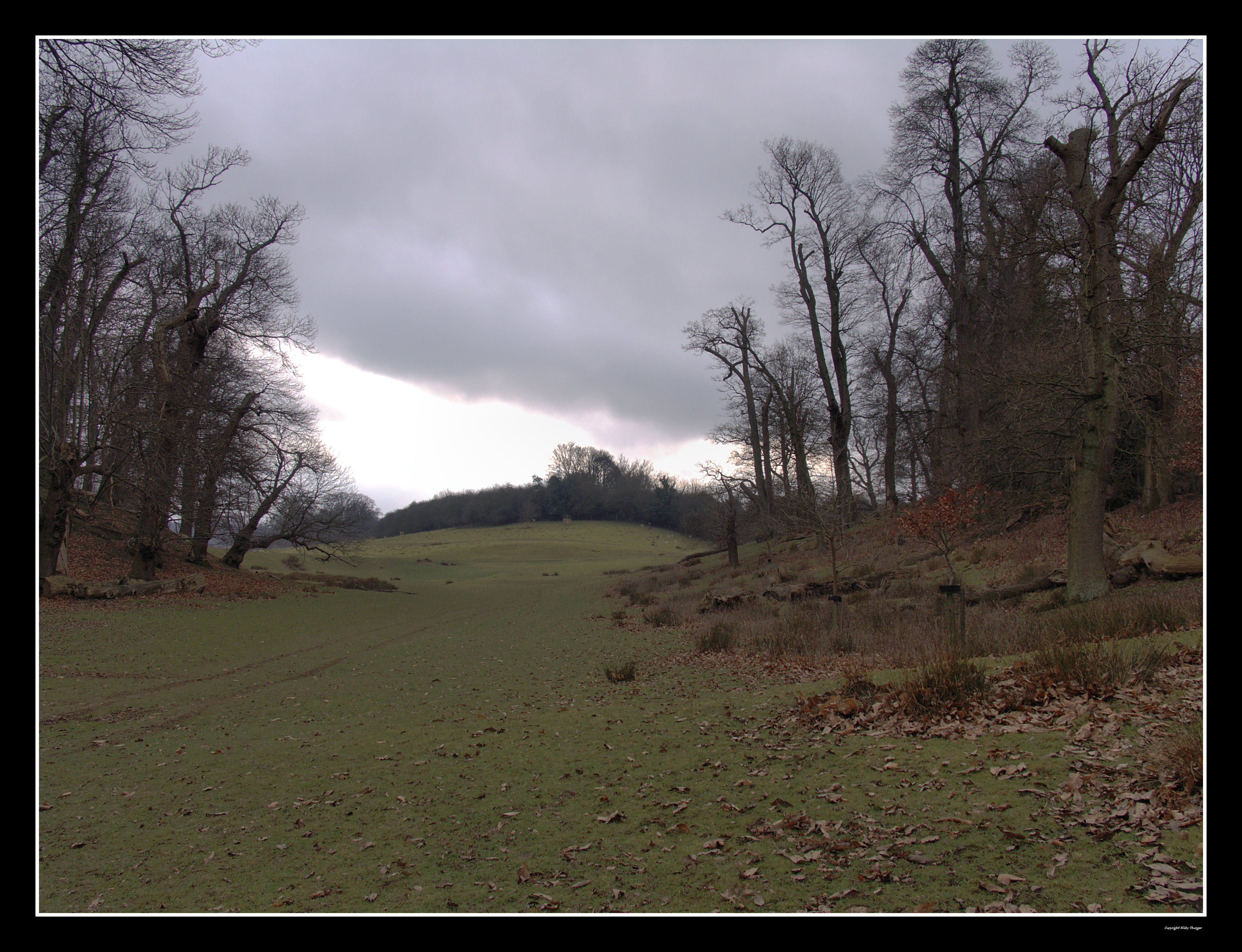 Knole Park