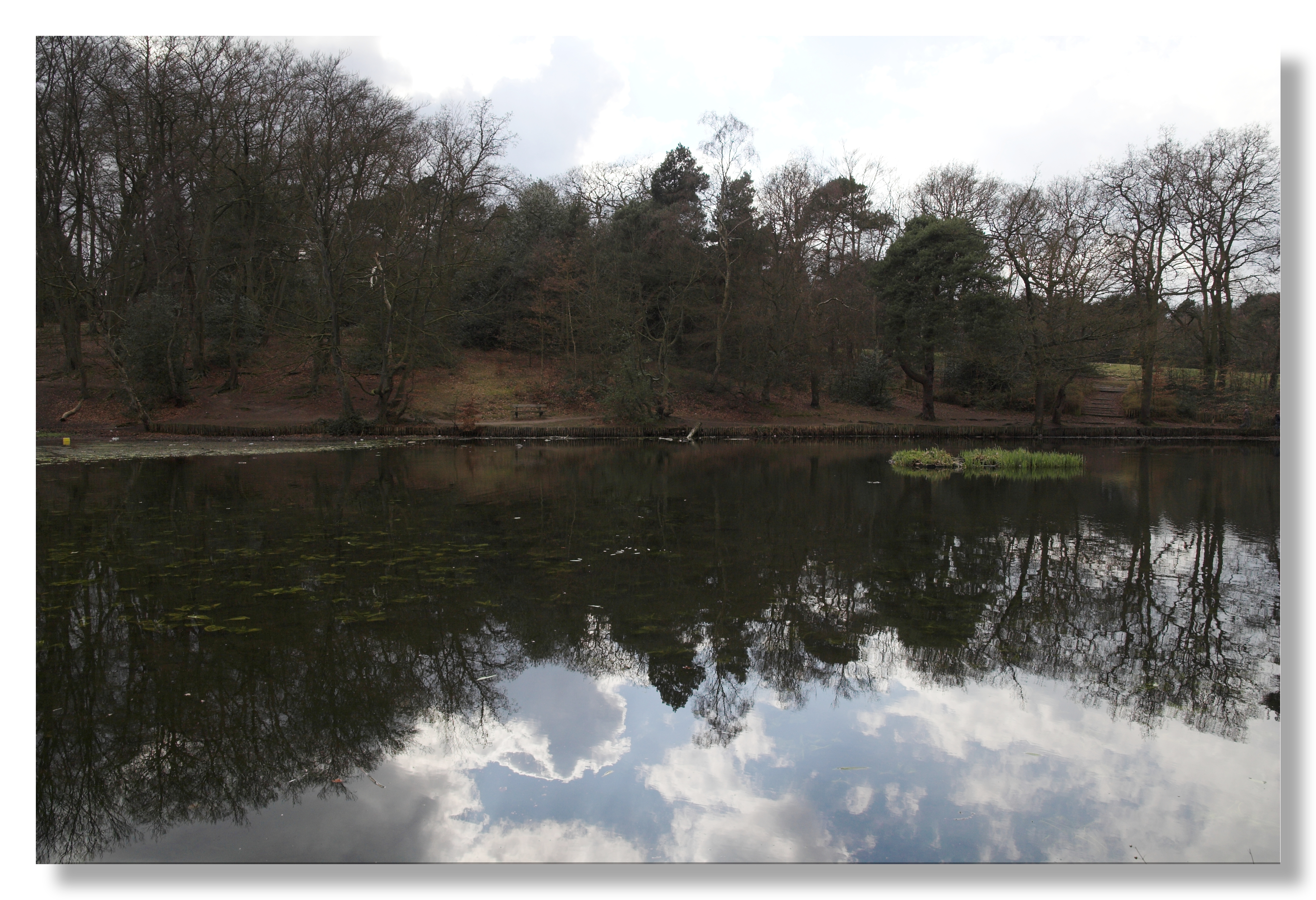 Dull reflections!