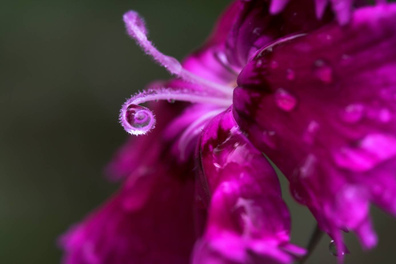 Image00009.jpg