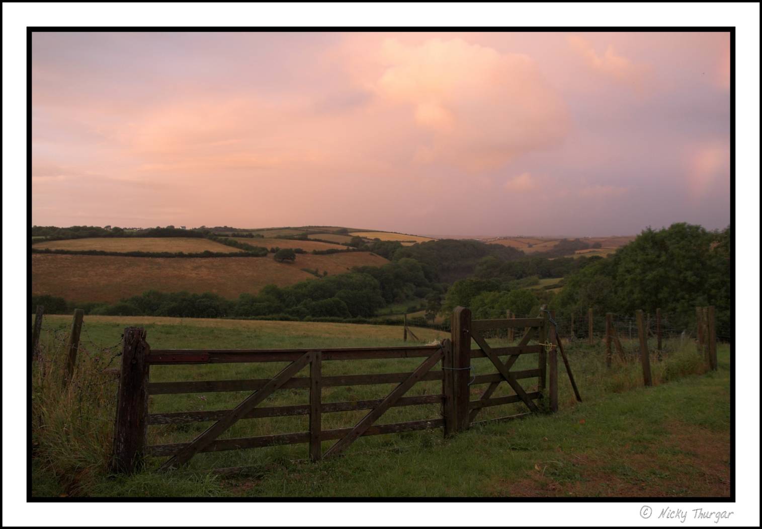 view from the gate