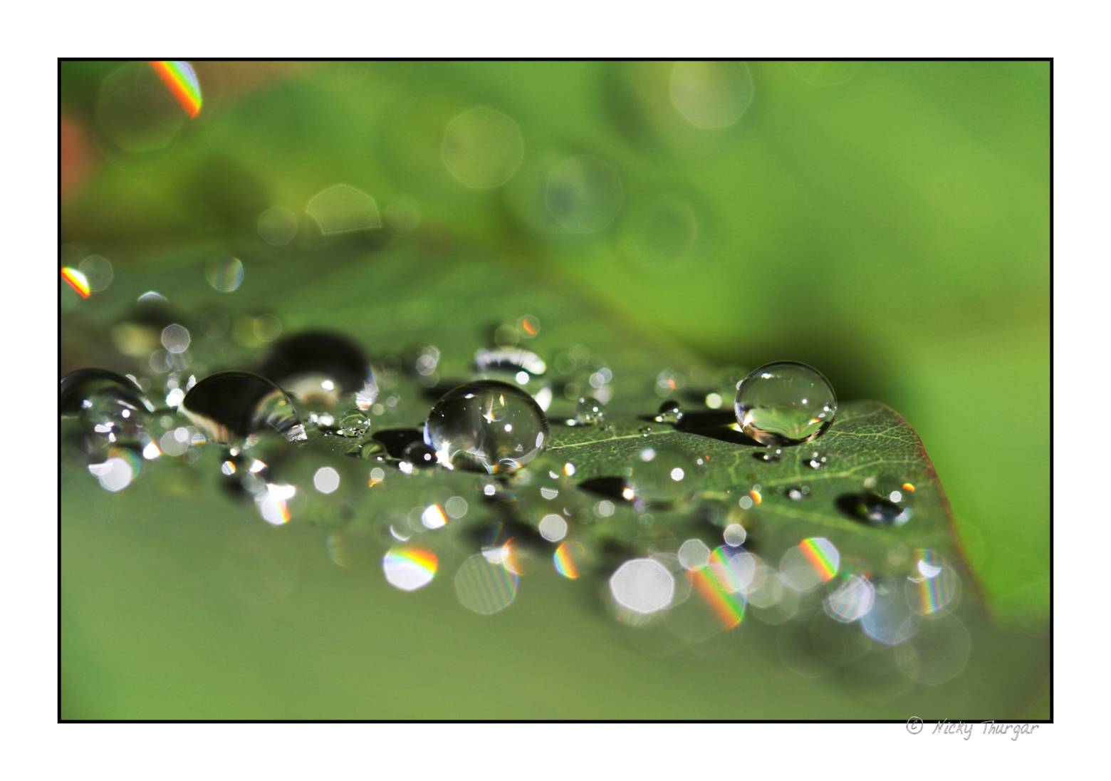 crystal droplets