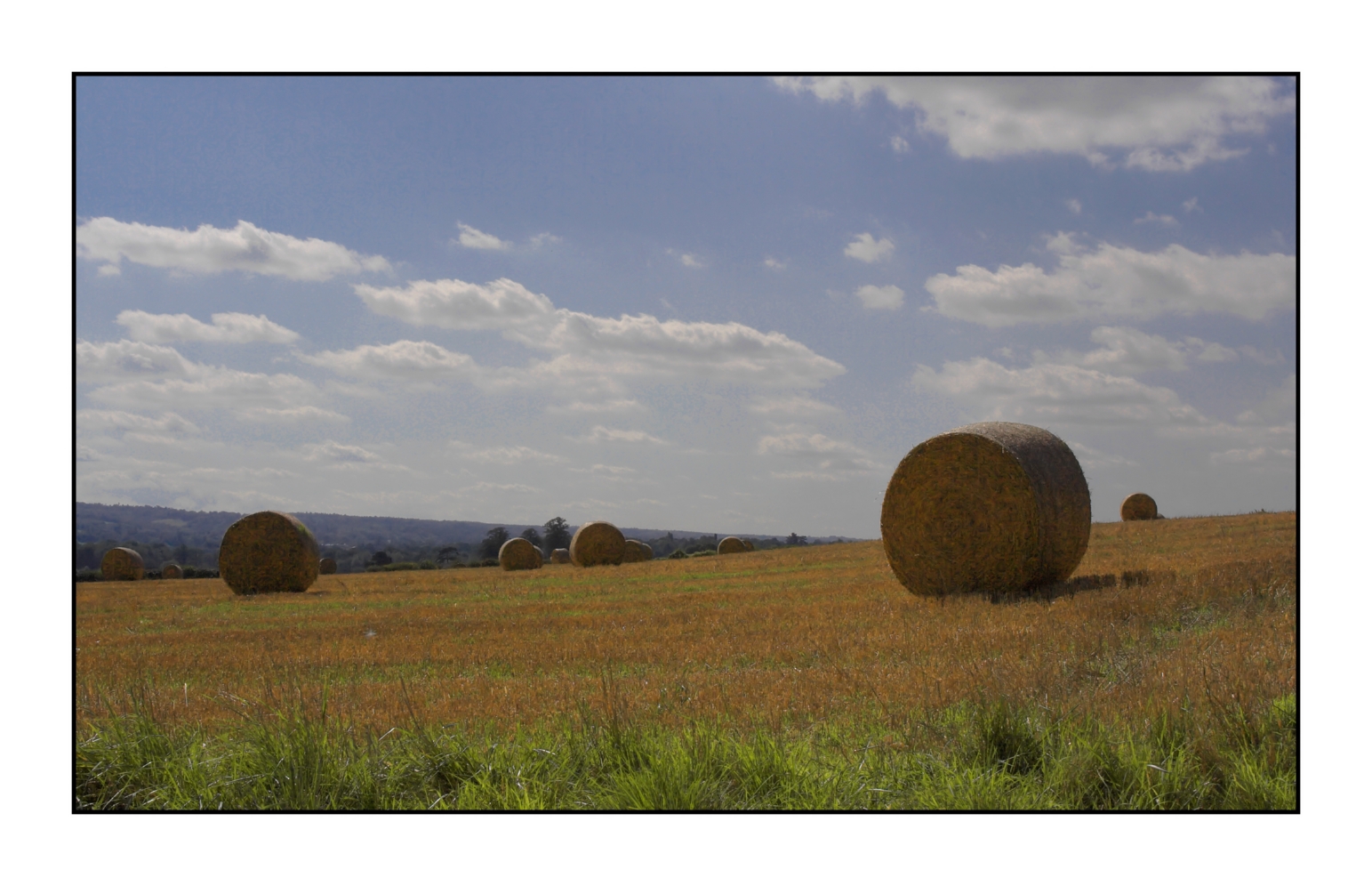 Hay bales