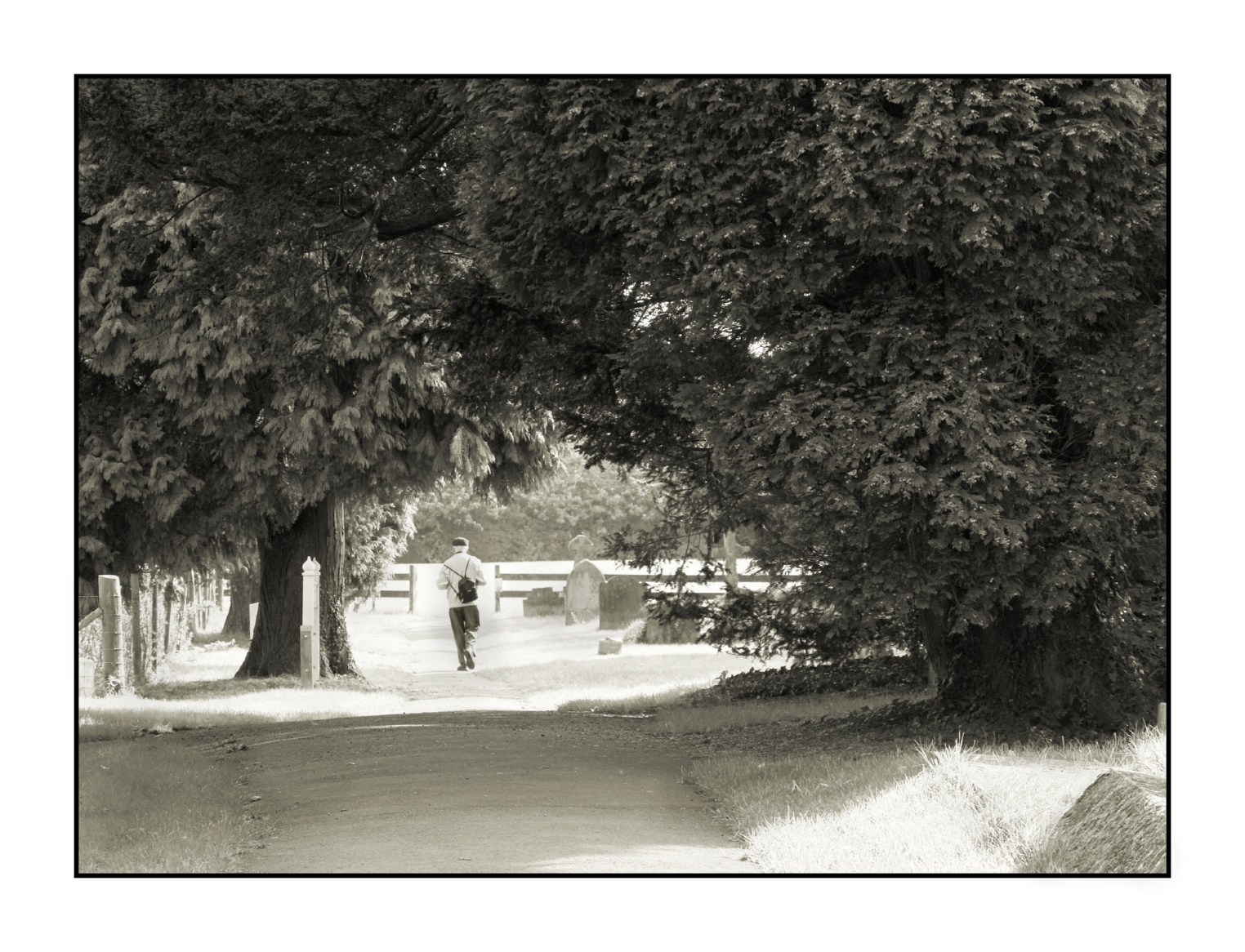 Old timer stroll
