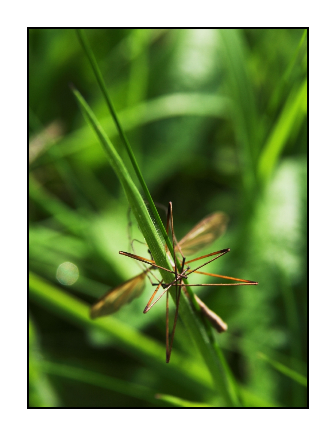 Clinging on