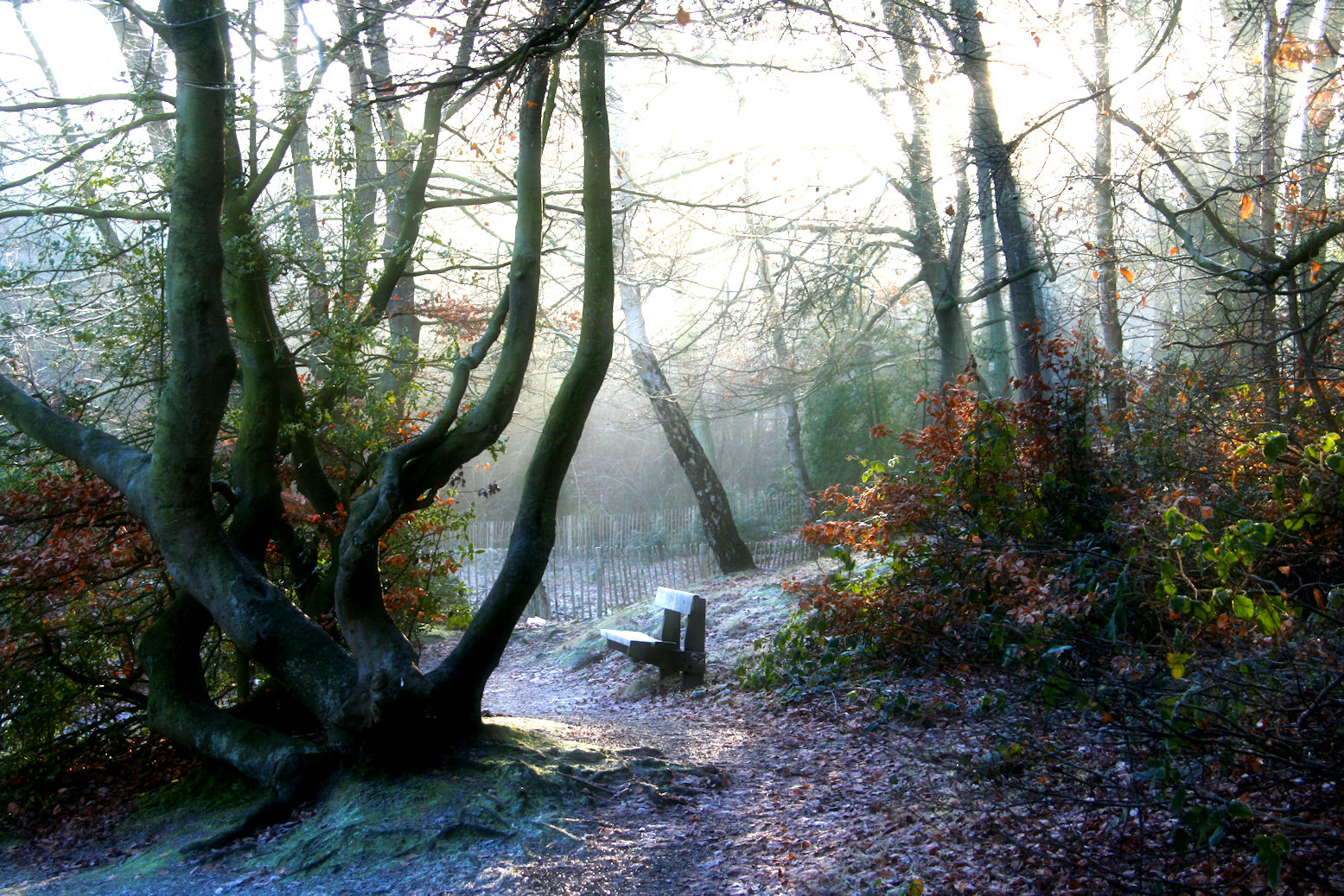 Quiet spot