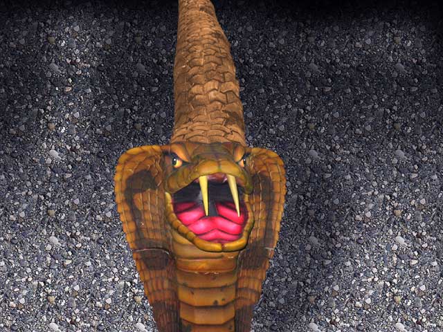 Tread-New-and-Used.jpg
