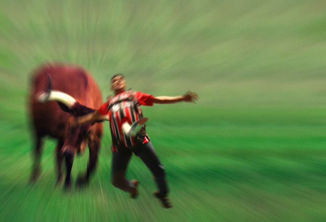 Tag.jpg