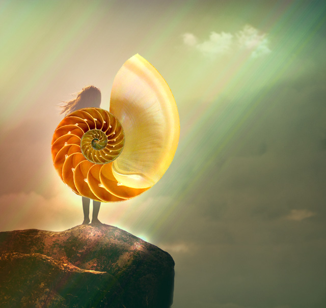 Nautilus gold.jpg
