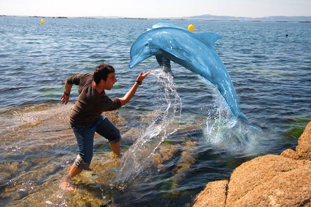 Dolphin-play.jpg