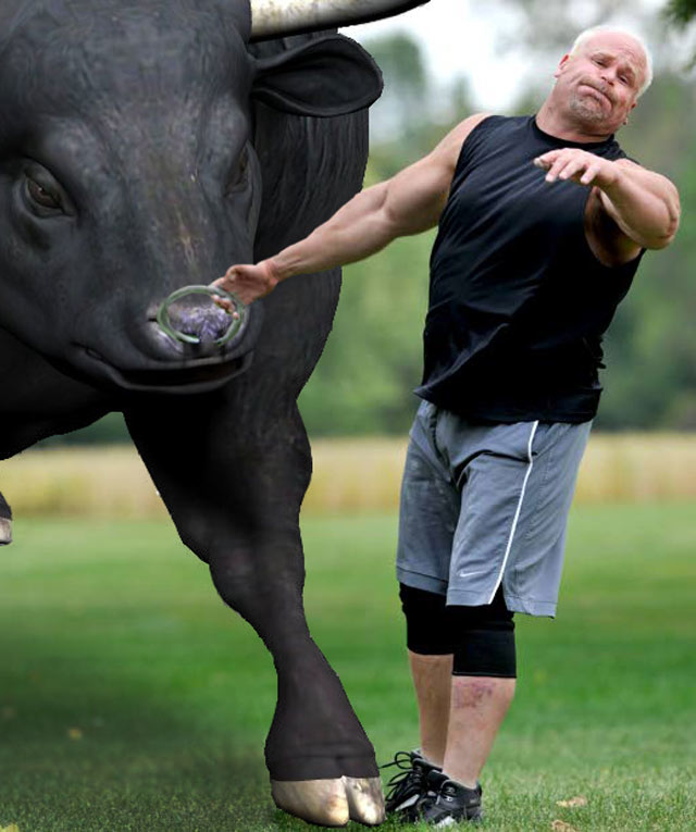 Bull-Toss