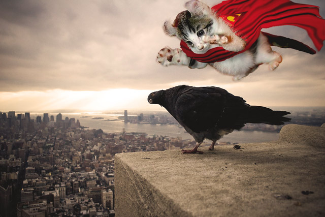 Mr.-Pouncy-Man.jpg