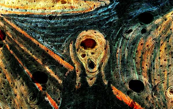 Munch.jpg