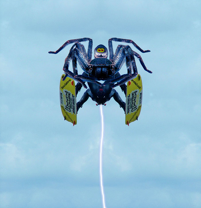 Spider-contrail.jpg