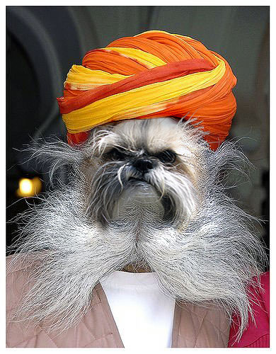 Llaso-Sikh.jpg