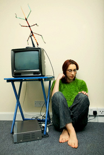 Stick-bug-antenna.jpg
