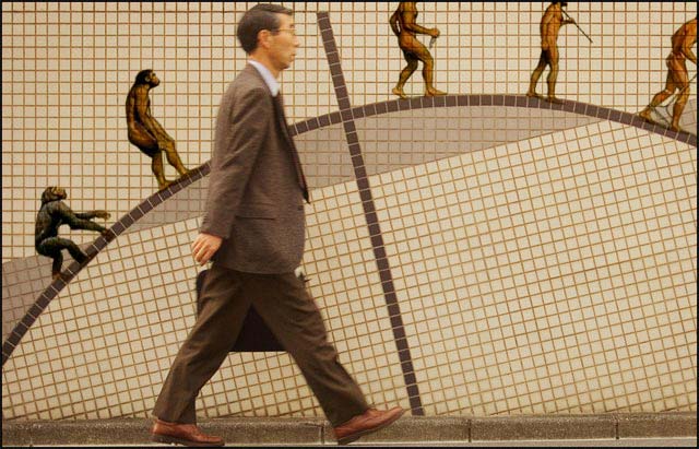 Evolution-walk.jpg
