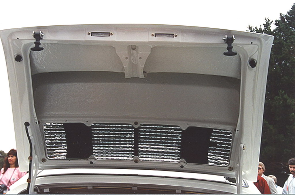 underside duck tail.jpg