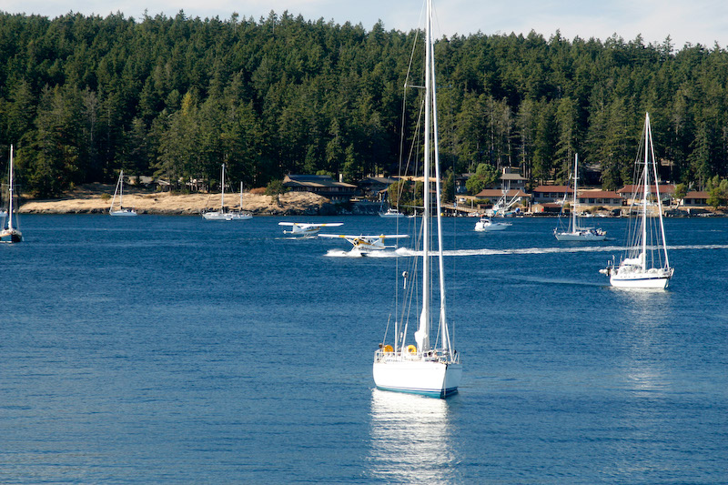 Air Traffic in Friday Harbor