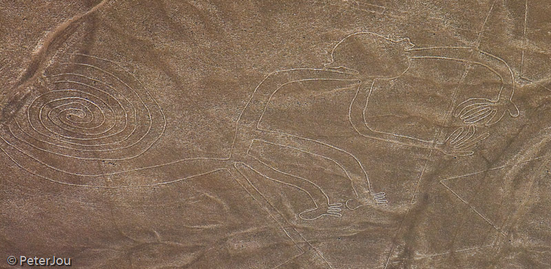 Peru: Nasca line