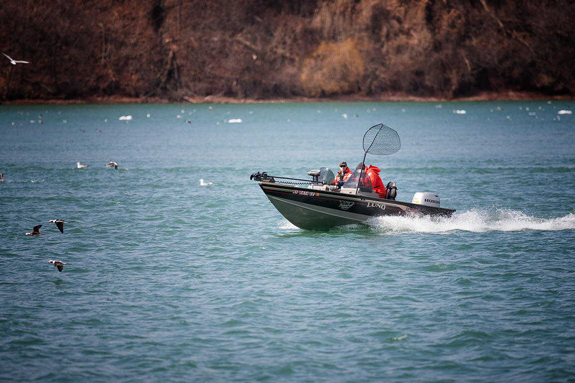 Niagara River Gorge