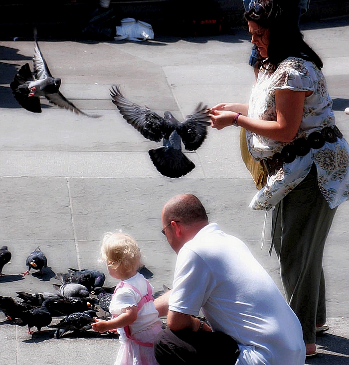  feeding the birds
 
Trafalgar Square
London