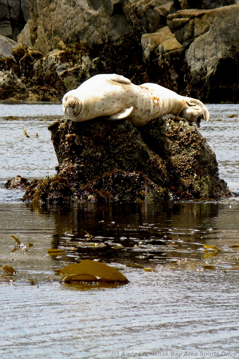 Monterey, CA