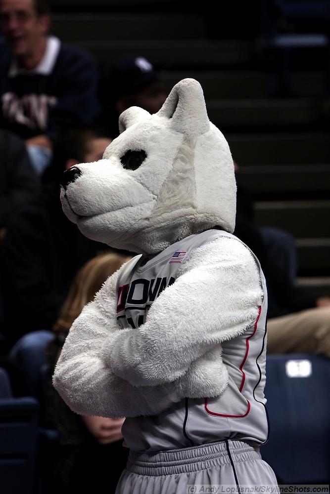 UCONN Huskies mascot