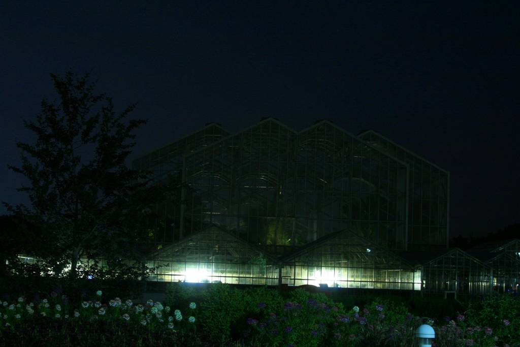 Front of Meijer Gardens at night