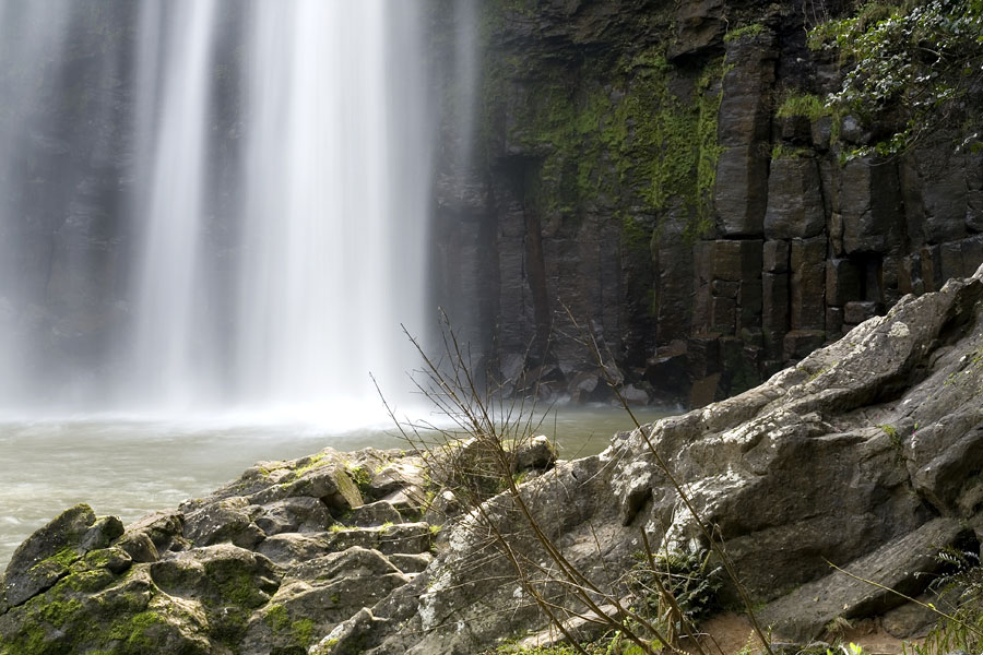 Whangarei Falls