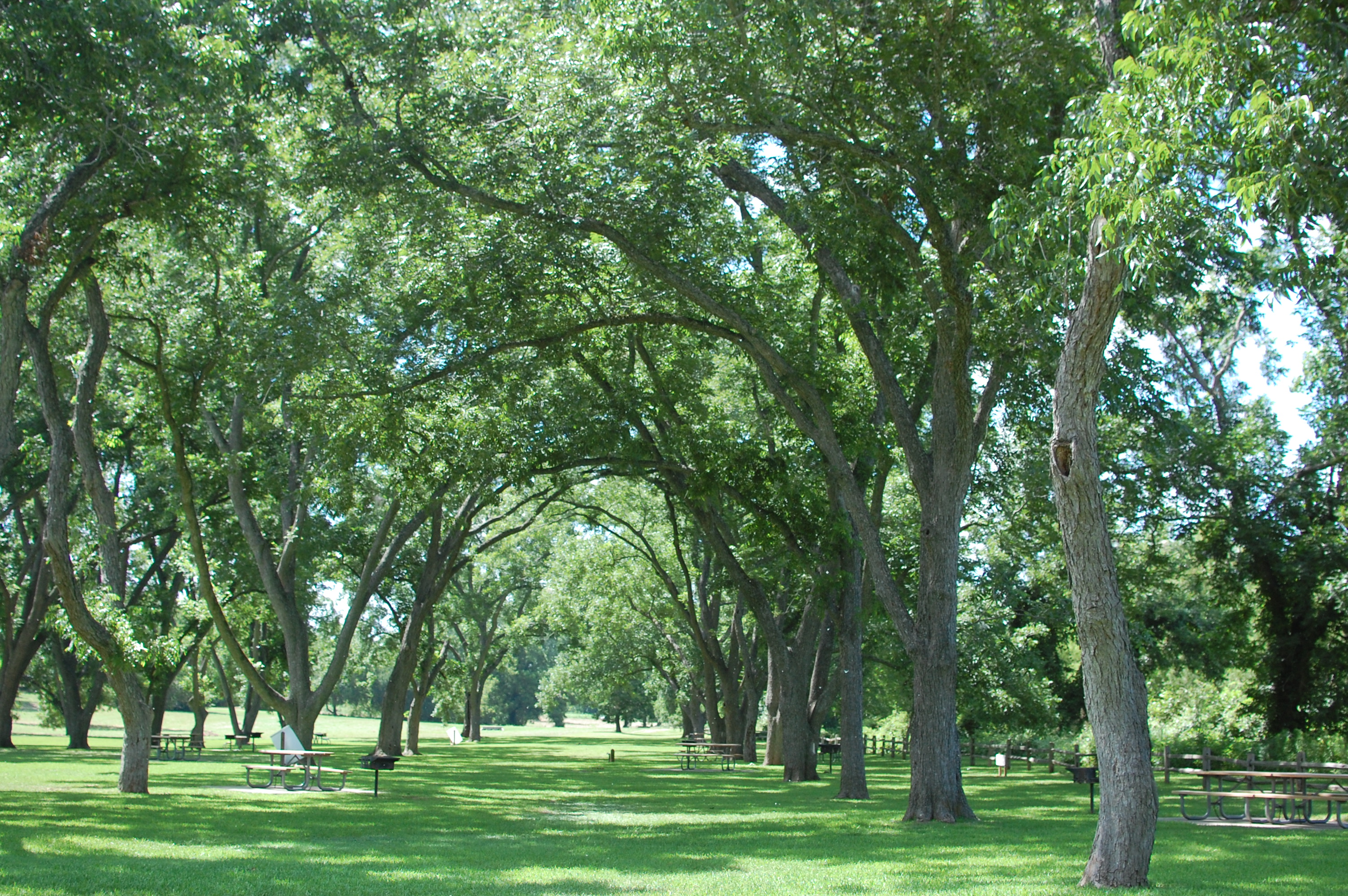 DSC_1598.JPG