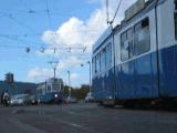 The Zurich Trams