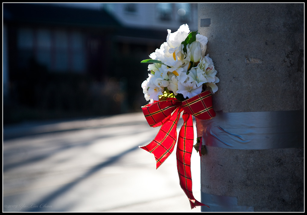 Loved & Missed