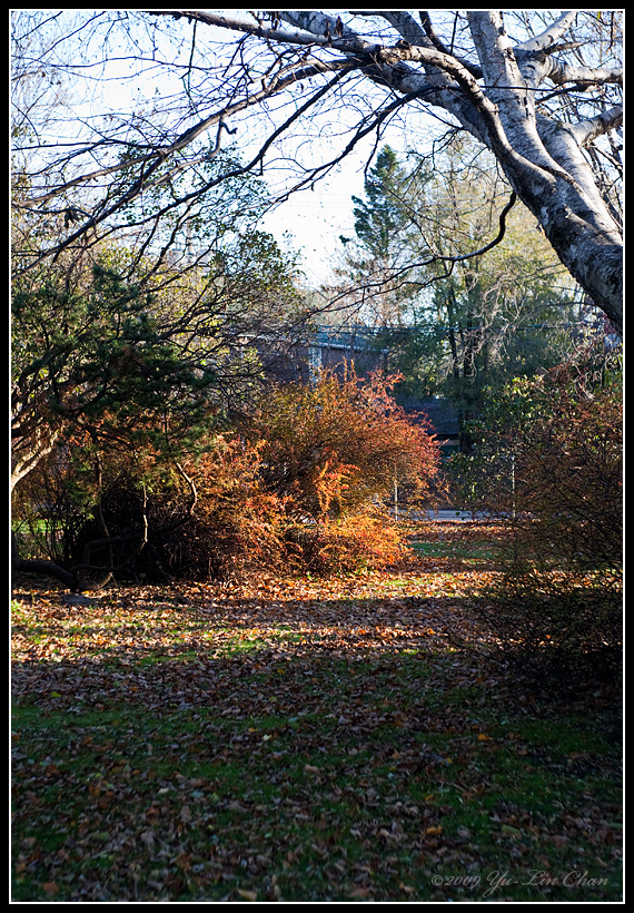 Ashbridge Park