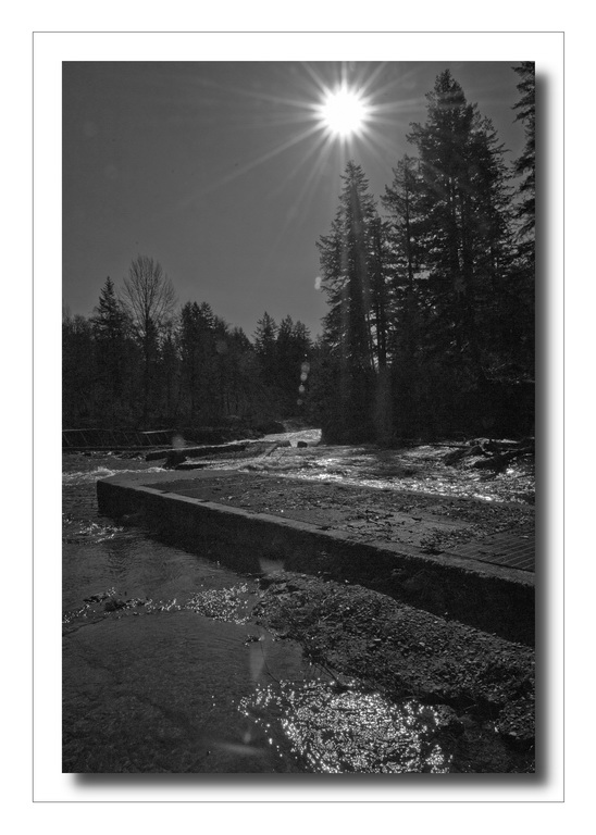 Rays on the River