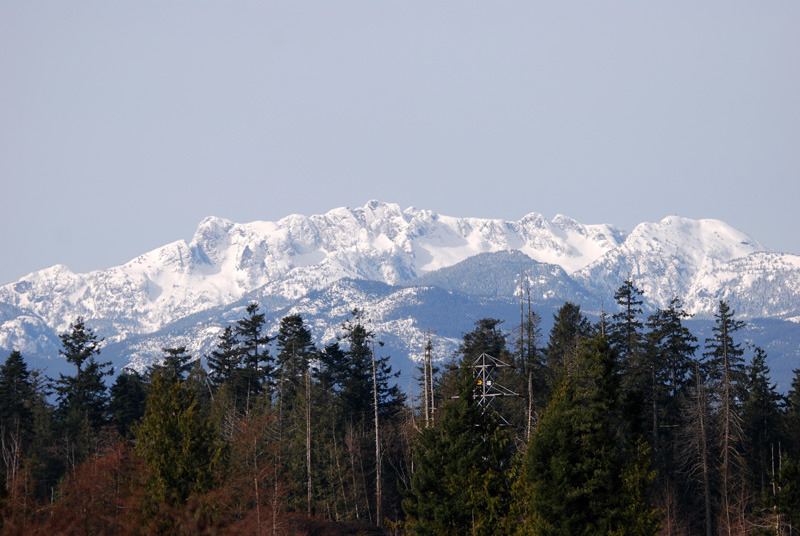 Mountains viewed from Parksville