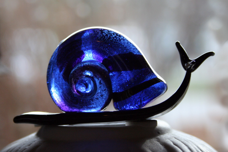 Blue Snail 