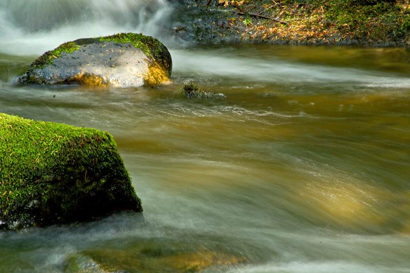 Silky Waters