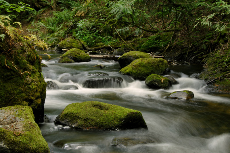 Cool Creek