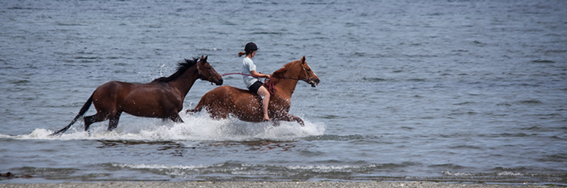 Surf Riding