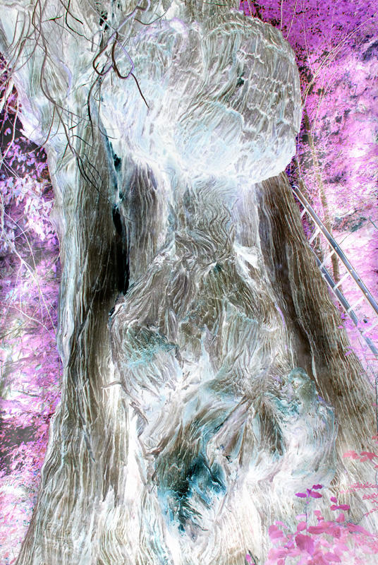 the man emerges in negative