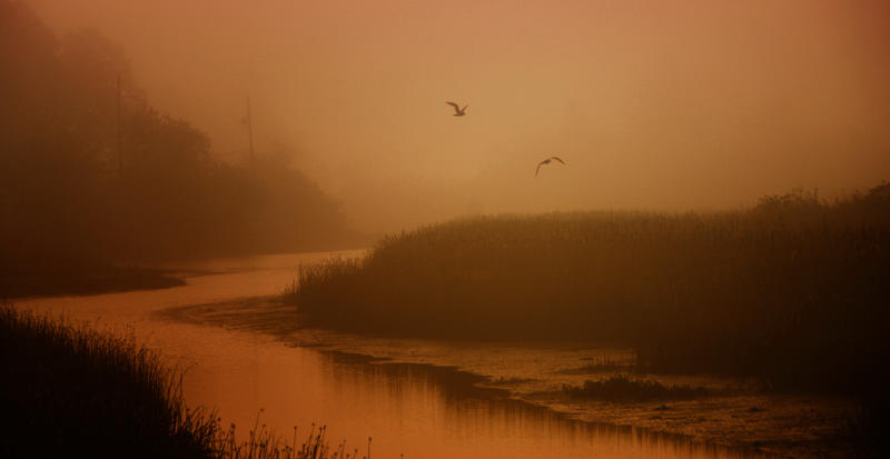 foggy morning