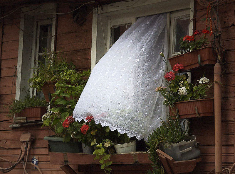 1st - Lace Curtains in the Breeze<br>George Blumel