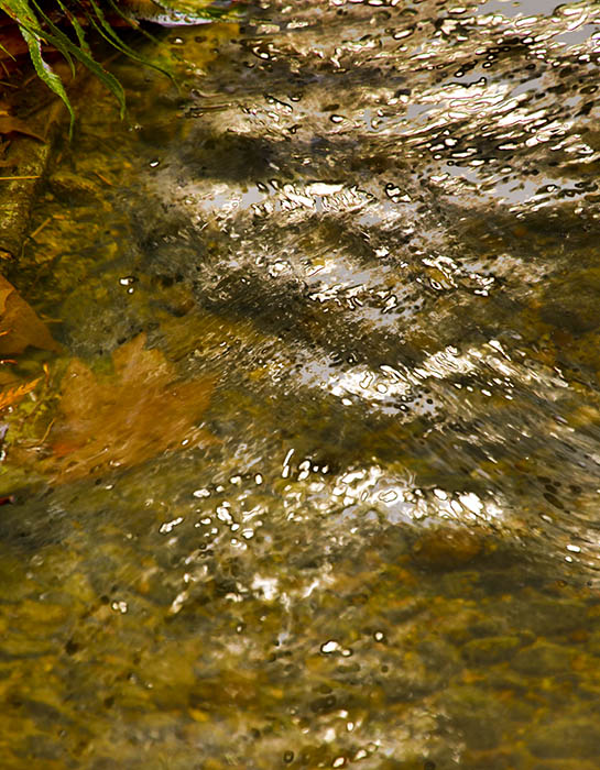 Sparkling Creek