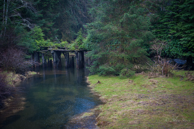 Lake Cowichan bridge.jpg